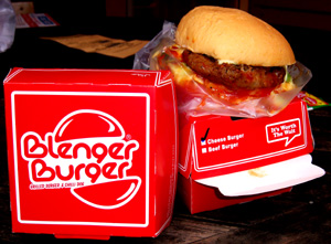Download Proposal Franchise Klenger Burger Sekarang