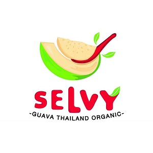 Download Proposal Franchise Selvy Sekarang