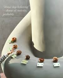 Franchise Donut of Curiosity, Download Proposal Sekarang!